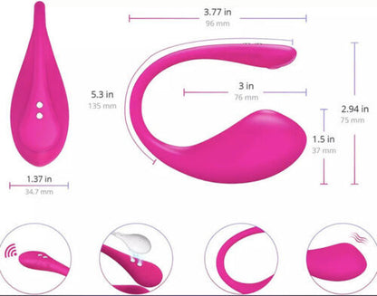 Remote Controlled Love Egg